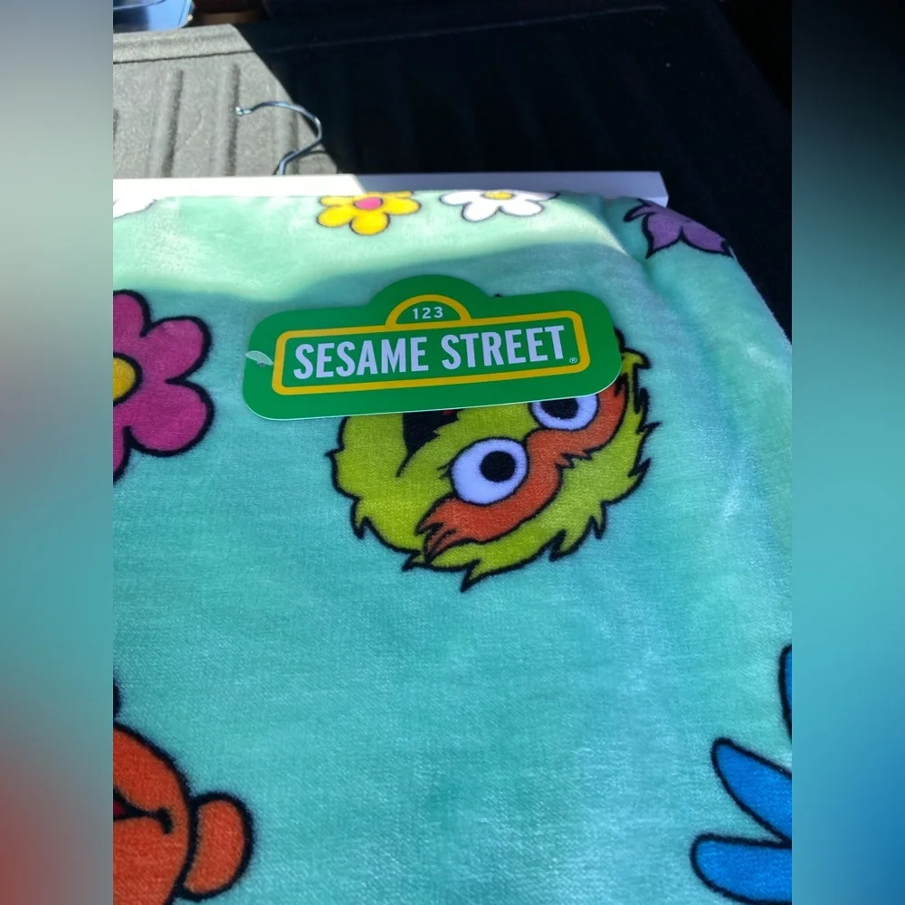 Sesame Street oversize plush throw -incredibly soft!  Brand new 60”x70” LAST ONE